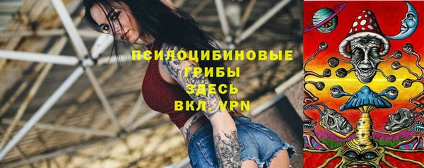 крисы Богородск