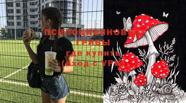 крисы Богородск