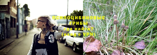 крисы Богородск