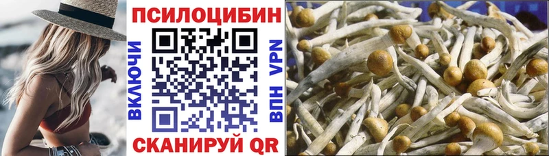 Галлюциногенные грибы ЛСД  Купить закладки  Королёв 